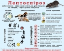    На Кіровоградщині чоловік захворів на лептоспіроз