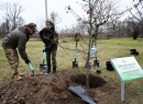 «Зелена країна»: у Кропивницькому висадили символічне мільярдне дерево