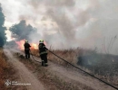 За добу, що минула, рятувальники приборкали 17 займань в екосистемі