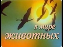Ці дні в історії