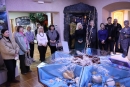 КОЛЕКЦІЯ МУШЕЛЬ ВЛАДИСЛАВА ШТОМПЕЛЯ