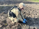 Вибухотехніки поліції Кіровоградщини знищили бойовий елемент ворожої крилатої ракети