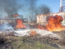 Палало на відкритих територіях