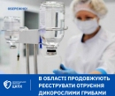 Не зважаючи на застереження лікарів, в області продовжують реєструвати отруєння дикорослими грибами. Цього разу у 4-річної дитини 