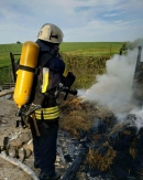 Займання ліквідовані 