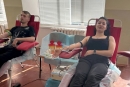 «День донора» в Олександрії: освітяни здали кров для потреб військових і цивільних