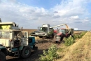 Хлібороби Кіровоградщини дбають про майбутній врожай 