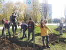 Нa нaбережній Інгулу  висaдили шовковиці