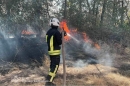 Рятувальники загасили на Кіровоградщині більше тридцяти займань на відкритих територіях, на одній з яких травмовано людину