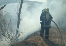 Пожежі в екосистемі
