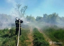 За добу, що минула, рятувальники Кіровоградщини тричі залучались на гасіння пожеж у житловому секторі та 5 разів на гасіння пожеж сухостою та сміття