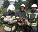 Кошенят дістали неушкодженими