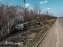 На Кіровоградщині ліквідовано 24 займання в екосистемі та три займання житлового сектору