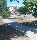 Оновлюється клумба