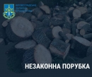 Незаконно нарубали дерев на мільйон гривень
