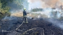 За  добу виникло 23 пожежі в екосистемі. А в результаті понад 11 гектарів природного фонду перетворилося на попіл.