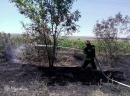 На Кіровоградщині виникло 17 пожеж на відкритих територіях та 2 у житловому секторі