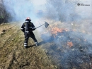 Рятувальники області тричі гасили займання у житловому секторі та 12 пожеж в екосистемі