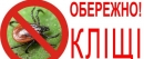 На Кіровоградщині зростає кількість кліщів, заражених хворобою Лайма