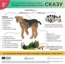 Щорічне щеплення домашніх тварин - дієвий засіб профілактики сказу!