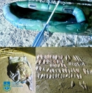 Майже 400 тис гривень збитків завдано незаконним зайняттям рибним промислом на території природно-заповідного фонду