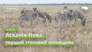 Ці дні в історії