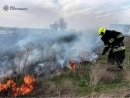 На Кіровоградщині рятувальники загасили 1 пожежу в приватному домоволодінні та 16 в екосистемі