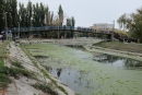 У Кpопивницькому відзначили День козацтва 