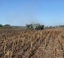 Аграрії Кіровоградщини активно продовжують збір пізніх зернових та технічних культур