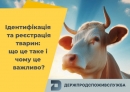 Держпродспоживслужба інформує: у 2025 році оштрафовано 59 осіб за порушення вимог щодо ідентифікації тварин