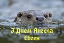 Іменинники тижня 