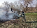 "Червоний півень" у довкіллі
