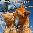 Ще сміються в Україні