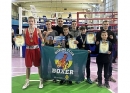 Юні спортсмени Кропивницького блискуче виступили у Світловодську на відкритому турнірі з боксу