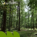 На Кіровоградщині створили національний парк «Чорний Ліс»