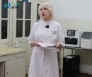 Надія Оперчук: 33 з 176 кліщів, зібраних на кладовищах, виявились інфіковані бореліозом