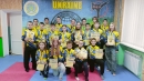 Таеквондисти Кропивницького зібрали щедрий ужинок нагород на відкритому кубку Черкаської області 